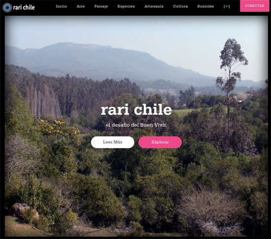 Portal Rari Chile